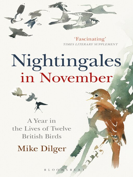 Cover image for Nightingales in November